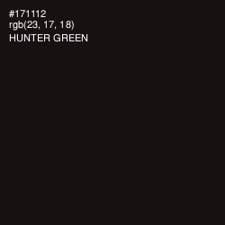 #171112 - Hunter Green Color Image